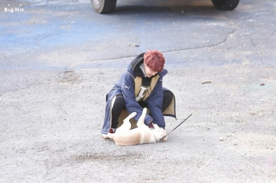 J-Hope BTS dikenal penyayang anjing.