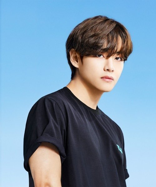 fila bts v