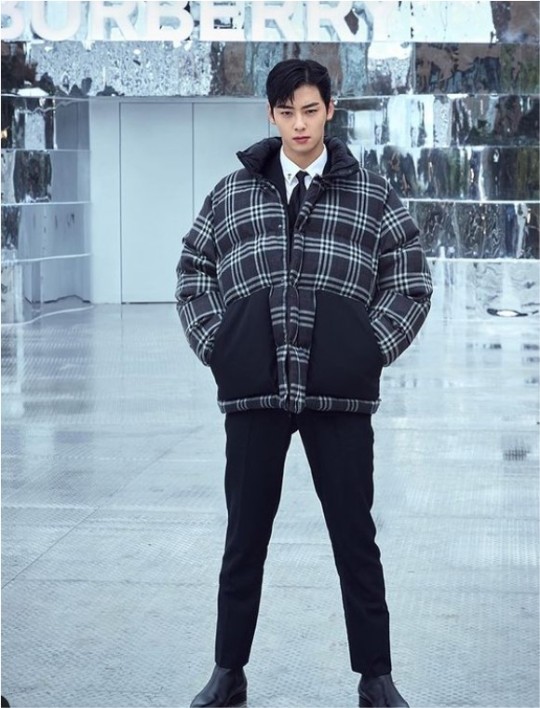 Kpop group ASTRO member Eunwoo Cha