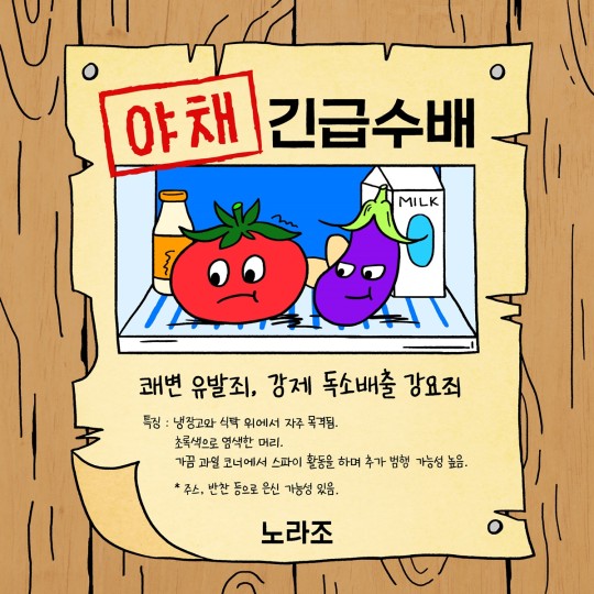 노라조, 오늘(29일) 새 싱글 '야채' 발매…독보적 '푸드송' 탄생 예감