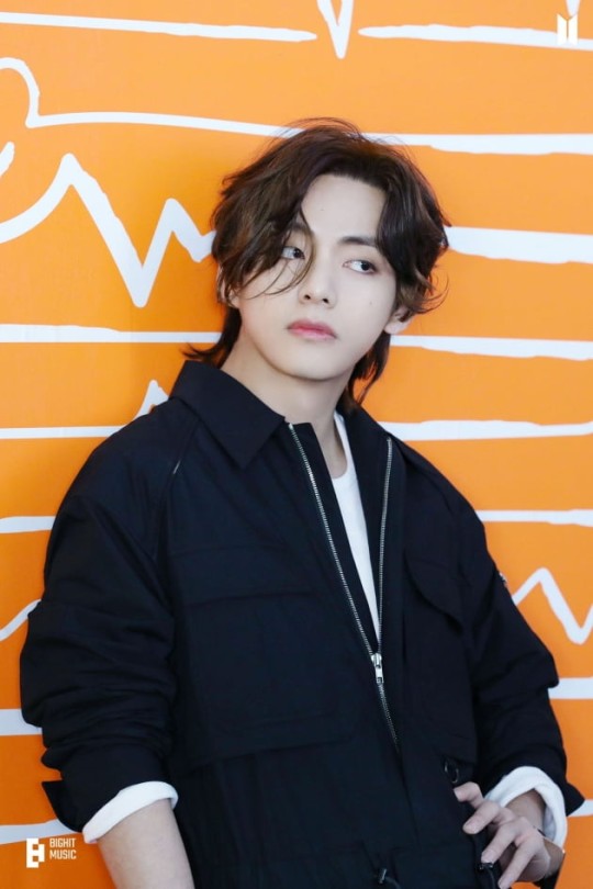 BTS V