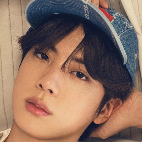 BTS Jin
