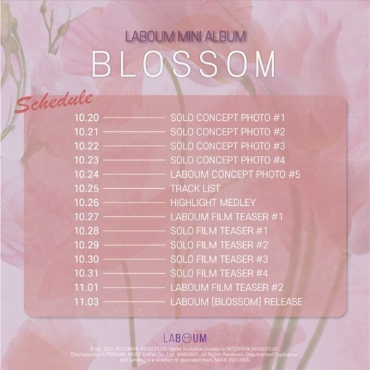 Kpop group LABOUM scheduler 