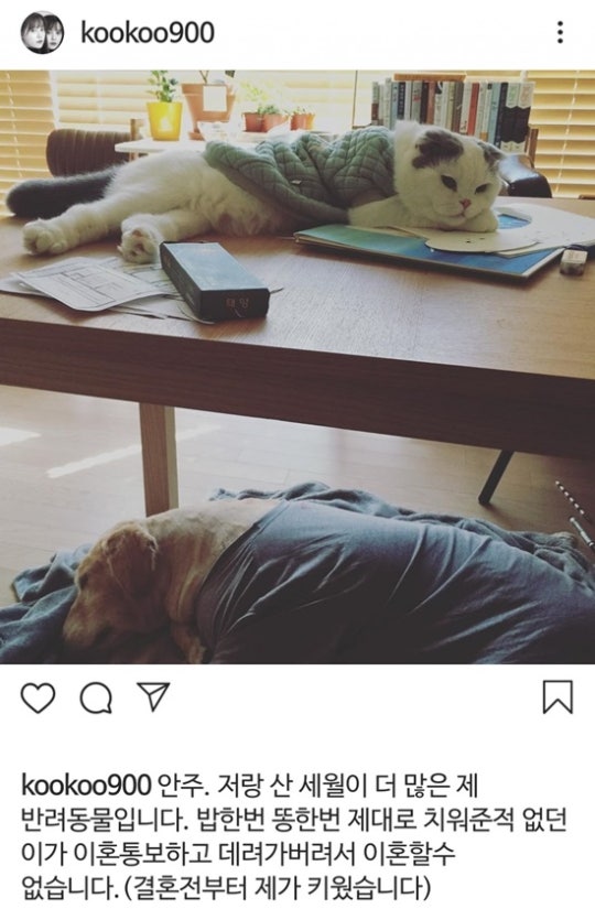 0000062010_012_20190904111240112.jpeg?ty