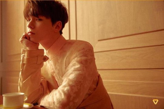 Vernon harus beristirahat dari segala aktivitasnya karena mengalami masalah kesehatan pada matanya (dok. Pledis Entertainment)