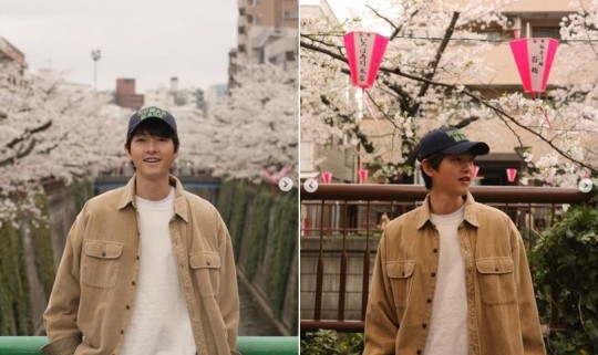 송중기, ♥케이티+아들과 함께한 日 벚꽃여행 '행복 미소 폭발'