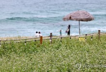 '낮 최고 36도' 폭염·열대야 계속…중부 등 곳곳 소나기