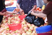 8월 물가 2.0%↑, 41개월만에 최저…농산물·유가 안정세(종합2보)