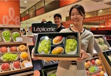 롯데백화점, 소용량 추석 선물 30% 확대…1∼2인 가구 겨냥