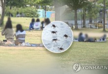 추석 연휴 야외활동 시 진드기·쥐가 옮기는 감염병 '주의'