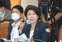 5년간 뺑소니로 5만명 사상…사망사고 가해자 절반 음주·무면허