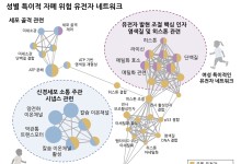 "남성 유병률이 여성의 4배" 자폐 유전자 성별 차이 밝혔다