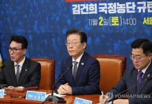 이재명 "우크라에 참관단 보내면 안돼…한반도 전쟁 획책 의심"