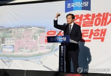 與, 혁신당 '尹 탄핵' 추진에 "이-조 방탄 작전 신호탄"