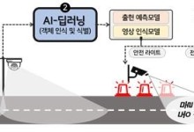 '동물출현' 실시간 전광판 노출…'로드킬' 다발 100곳 집중관리