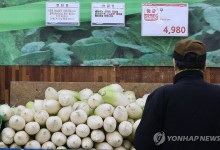 설 앞두고 배추 59%·무 77% 올라…이번주 물가관리 대책