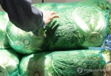 농식품부, 김치협회·대아청과와 '배추 수급안정' 협약