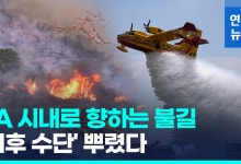 [영상] 바닷물까지 퍼나르는 상황인데…돌풍 탄 LA 산불 '초비상'