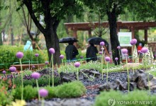 서울시, 올해 매력·동행가든 500곳 이상 만든다
