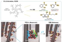 천연 폴리페놀이 접착제 역할…탈모 방지 샴푸에 적용