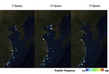 "北 밀수 화물선 中선박과 충돌해 다수 사망…양국 모두 '쉬쉬'"