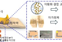 찢어져도 10초 안에 80% 이상 회복되는 전자피부 개발