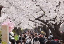 서울 봄축제에 1천959만명 모인다…서울시, 인파관리 강화