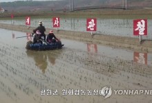 북, 올해 첫 모내기…"당창건 80돌 다수확 성과를"