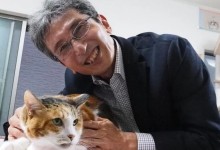 치즈냥·삼색냥 털색깔 비밀은…고양이 애호가 日교수가 풀었다