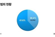 'CCTV 효과' 도난 범죄 33% 감소…현금 노린 생계형 범죄는 늘어