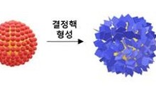 KIST "인 고효율 회수·유해미생물 살균 수처리 소재 개발"
