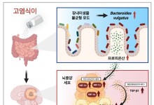 짠 음식이 장내 미생물 환경 바꿔 뇌종양 악화시킨다