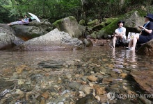 광양서 계곡 다이빙하던 20대 중상