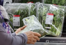 뛰는 물가에 '짠물' 소비…가구 먹거리 지출 9년만에 가장 적어