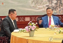 "시진핑, 北 열병식 참석 가능성 작아…韓美와의 관계도 고려"