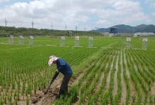 농식품부 "2030년까지 저탄소 인증 농가 3만호 달성"