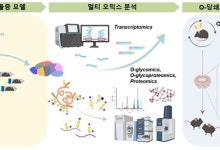 만성 스트레스가 단백질의 당쇄화 형태 바꿔 우울증 일으킨다