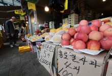폭염에 귀해진 '큰 사과'…특상-중하품 가격차 '역대 최대'