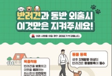 '반려동물과 함께 안전한 추석을'…강원도, 동행 캠페인 추진