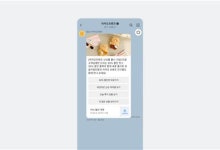 개인정보위, 카카오 '브랜드 메시지' 위법성 관련 현장 조사 착수