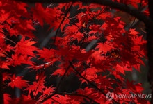 경기 북부·강원 새벽 비, 일교차 15도 커 감기 주의
