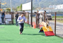 포천시, 문체부 반려동물 친화관광도시 선정…국비 10억 원 확보