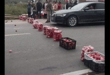 "날 사고 가라"…中 도로 한복판서 사과 깔고 강매(영상)