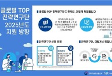 정부, 내년 글로벌 톱 전략연구단 지원 1250억원으로 확대…신규 과제 공고