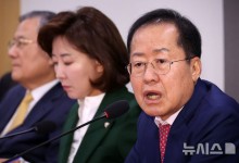 홍준표 "한덕수 탄핵이 입법내란…내란죄는 민주당에"