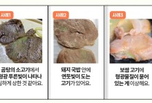 점심에 나온 갈비탕 고기서 '형광빛'…먹어도 이상없을까?