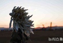 '이젠 가족 품에' 제주항공 참사 희생자 인도 막바지(종합)