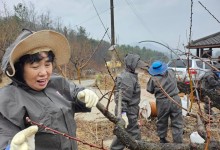 여성농업인 특수건강검진, 올해부터 전국 확대
