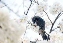 일교차 15도 이상…강원에는 비나 눈 소식[내일날씨]
