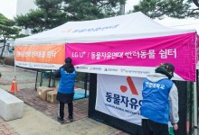 LGU+, 산불 피해지역 반려동물 구호활동